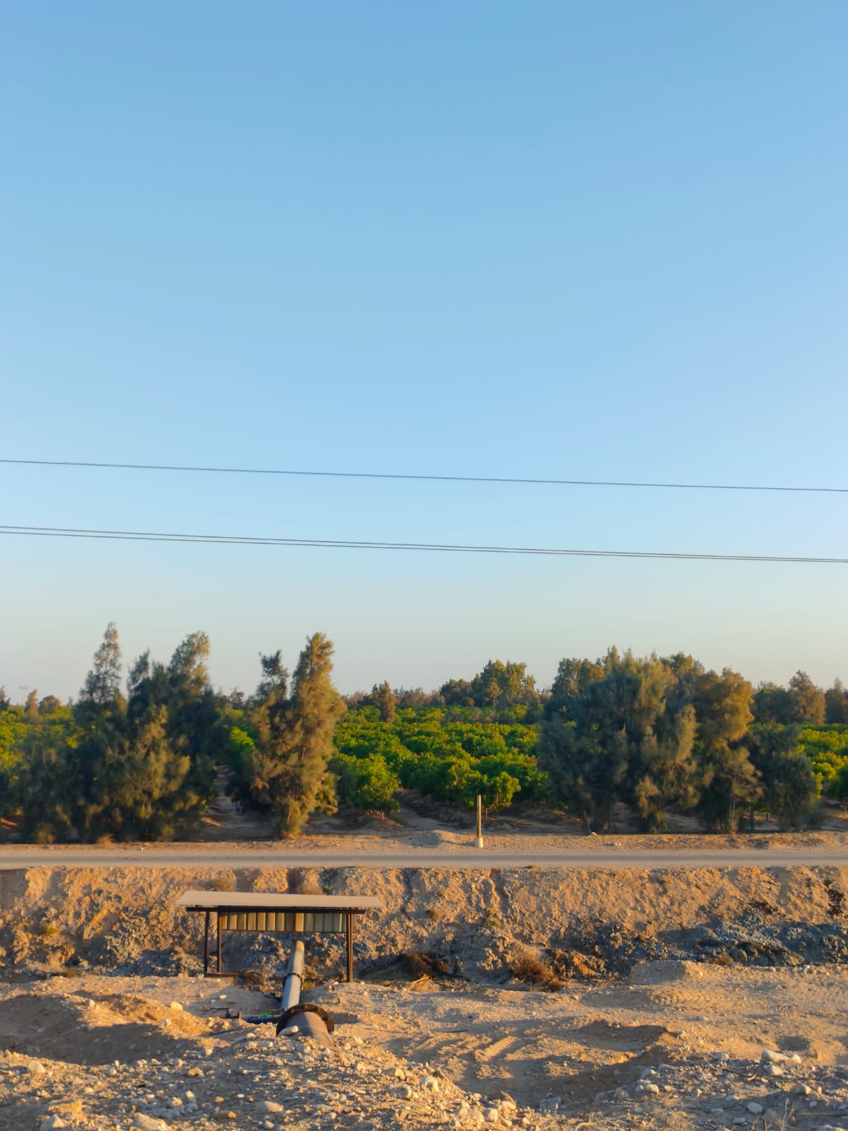 الشركة العالمية للاستثمار والتوكيلات التجارية (أكيكا)